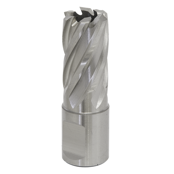 Sealey RBHSS17S Rotabor Cutter HSS Ø17mm - Cut Depth 25mm
