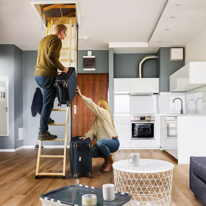 TB Davies 1530-005 EnviroFold Loft Ladder